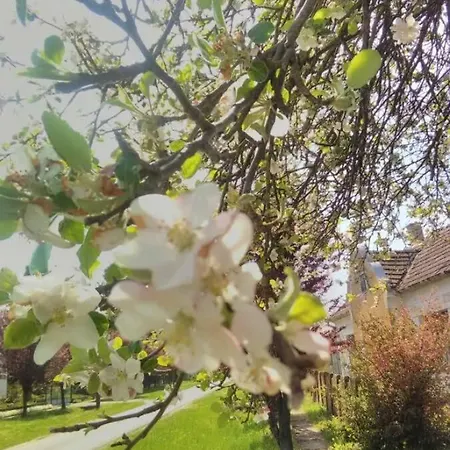 Rust Aan De Es Boom Holiday home *